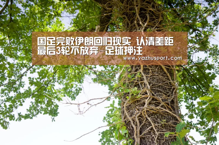 竞彩足球app