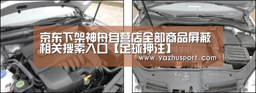 京东下架神舟自营店全部商品屏蔽相关搜索入口【足球押注】(图2) 足球投注app