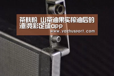 茶麸粉 山茶油果实榨油后的渣|竞彩足球app(图2) 足球押注