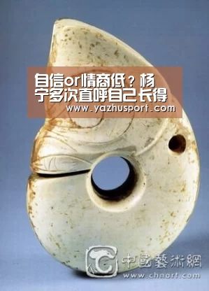 自信or情商低?杨祐宁多次直呼自己长得帅 章子怡心情尴尬-足球投注网站(图3) 竞彩足球app