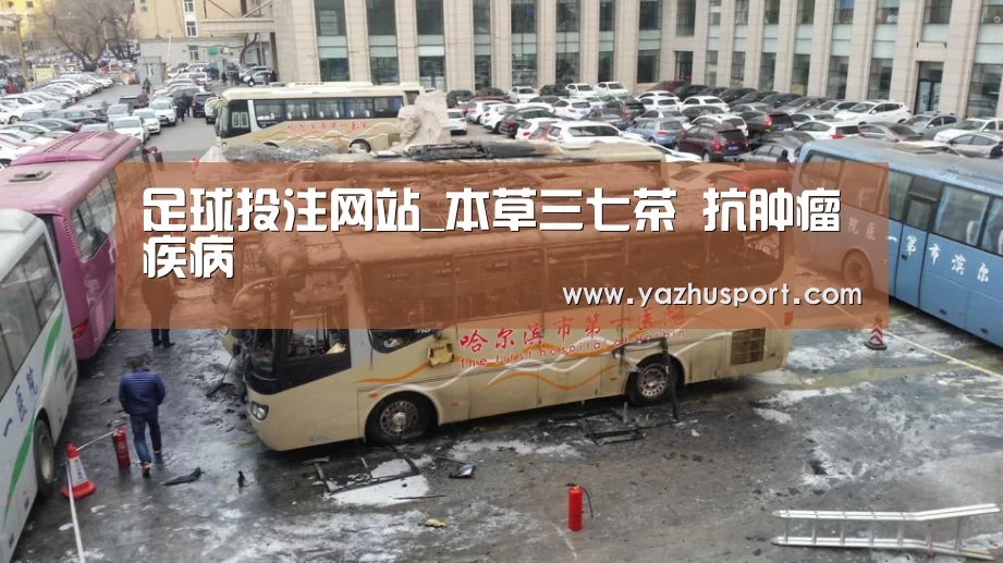 足球投注网站_本草三七茶 抗肿瘤疾病(图2) 足球投注app