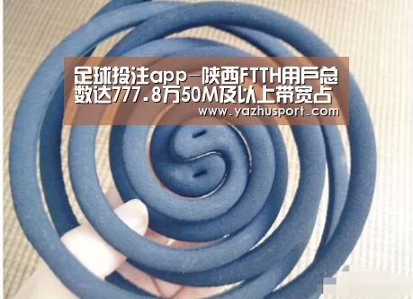 足球投注app-陕西FTTH用户总数达777.8万50M及以上带宽占比69.4%(图1) 竞彩足球app